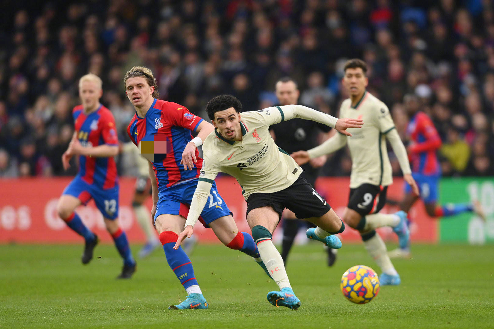 也是他的一 也是他的一